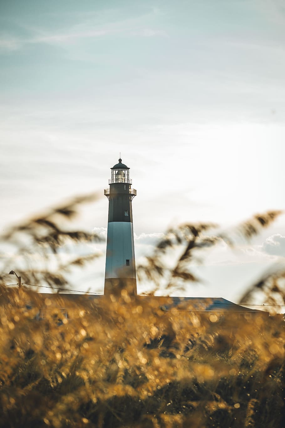 Lost in Tybee, beach life, ocean, dune, sand, beach day, lighthouse HD wallpaper