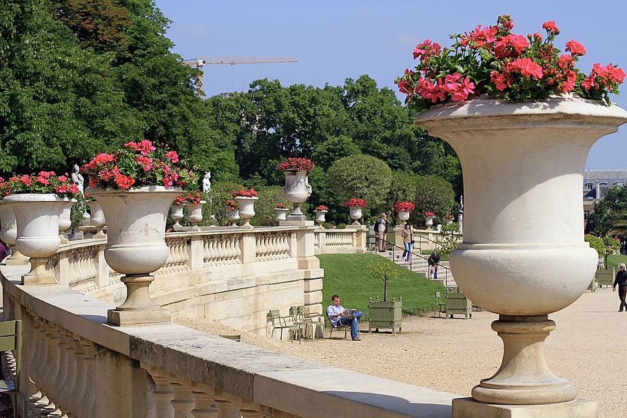 france, paris, plant, nature, tree, architecture, built structure HD wallpaper
