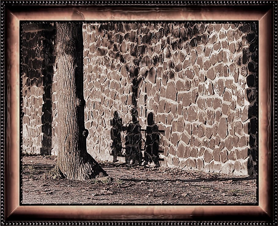 germany, bonn, trees, schadow, men, people, shadows, architecture HD wallpaper