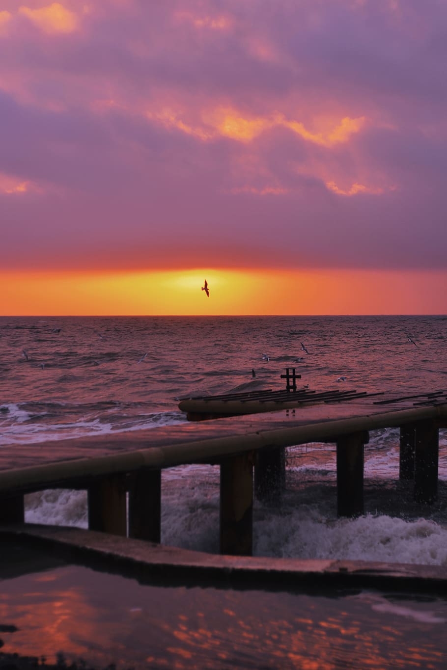 gull, sea, waves, nature, background, wallpaper, landscape HD wallpaper