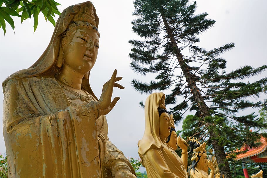 sculpture, gold, buddha, art, statue, ten thousand buddhas HD wallpaper