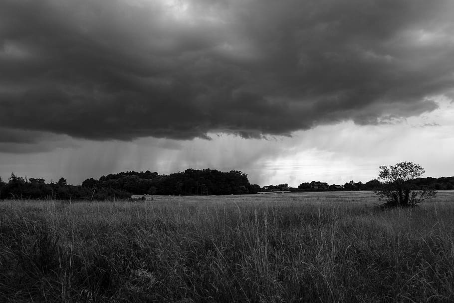 france, storm approaching, field, weather, trees, cloud - sky, HD wallpaper