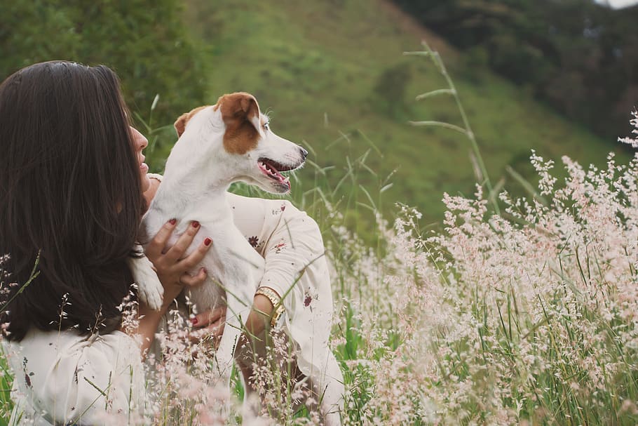 Woman Wearing White Dress Holding White and Brown Dog, adorable