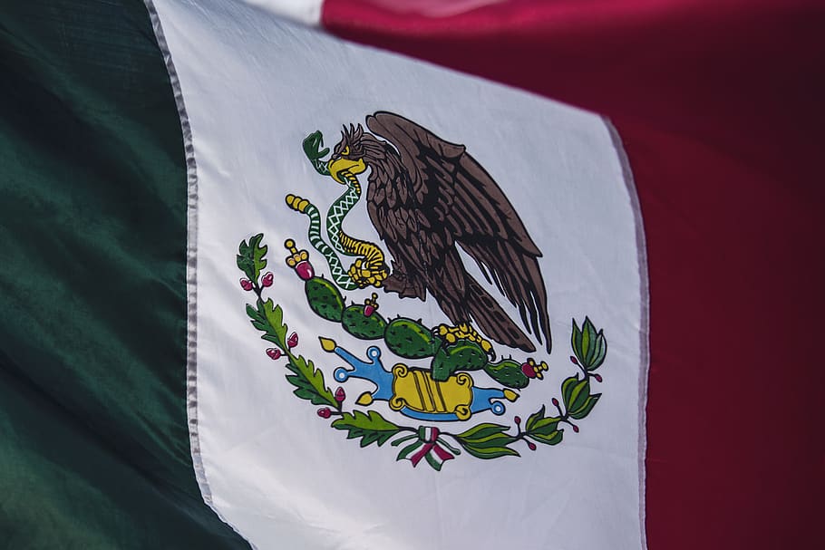 close-up-green-identity-mexico.jpg