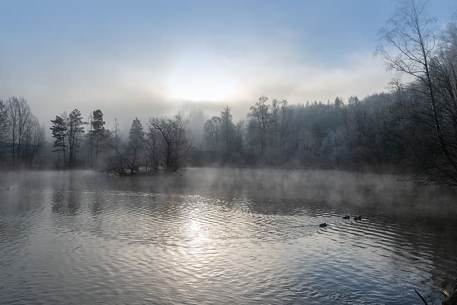 fog, lake, mist, landscape, water, nature, rest, mood, atmosphere HD wallpaper