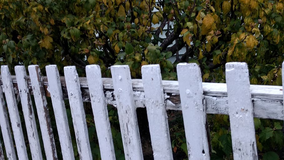 fence, picket, wood, limits, verja, blanca, autum, otoño, límite HD wallpaper