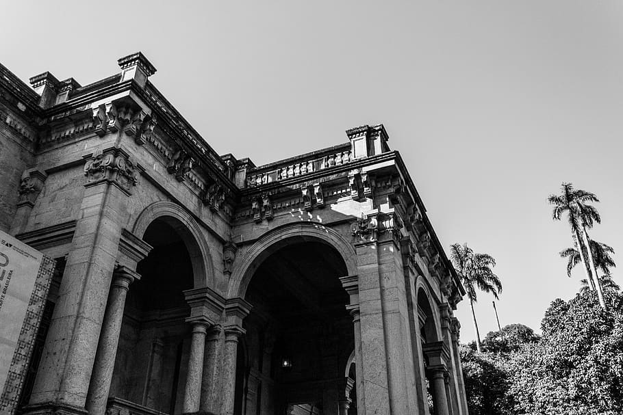building, architecture, arched, pillar, column, crypt, plant HD wallpaper