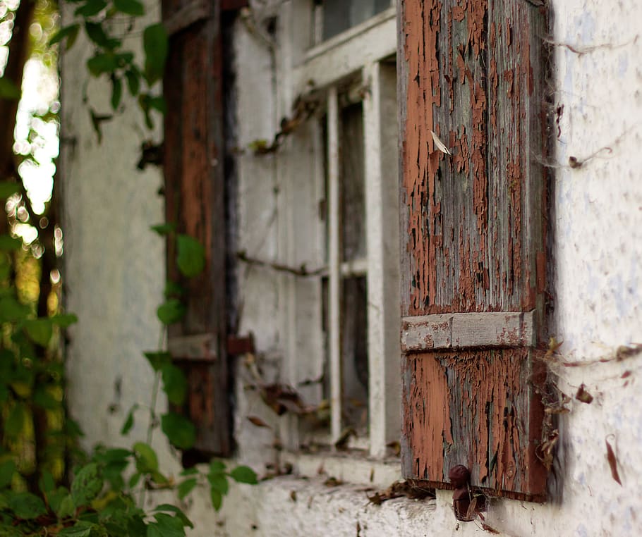 window, old, blur, house, spiderwebs, architecture, built structure HD wallpaper