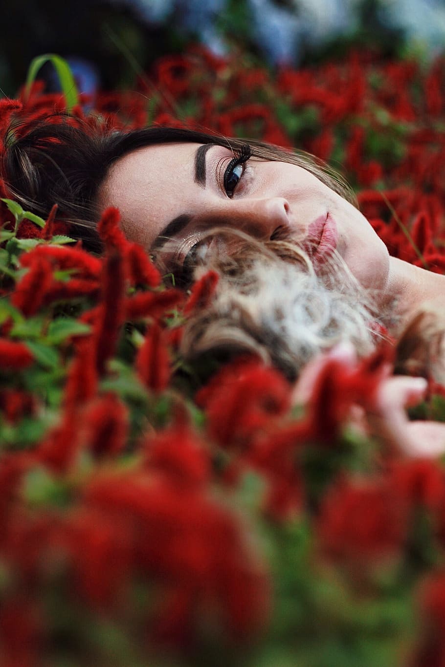 Photography of a Woman Lying on Flowers, beautiful, beauty, blur, HD wallpaper