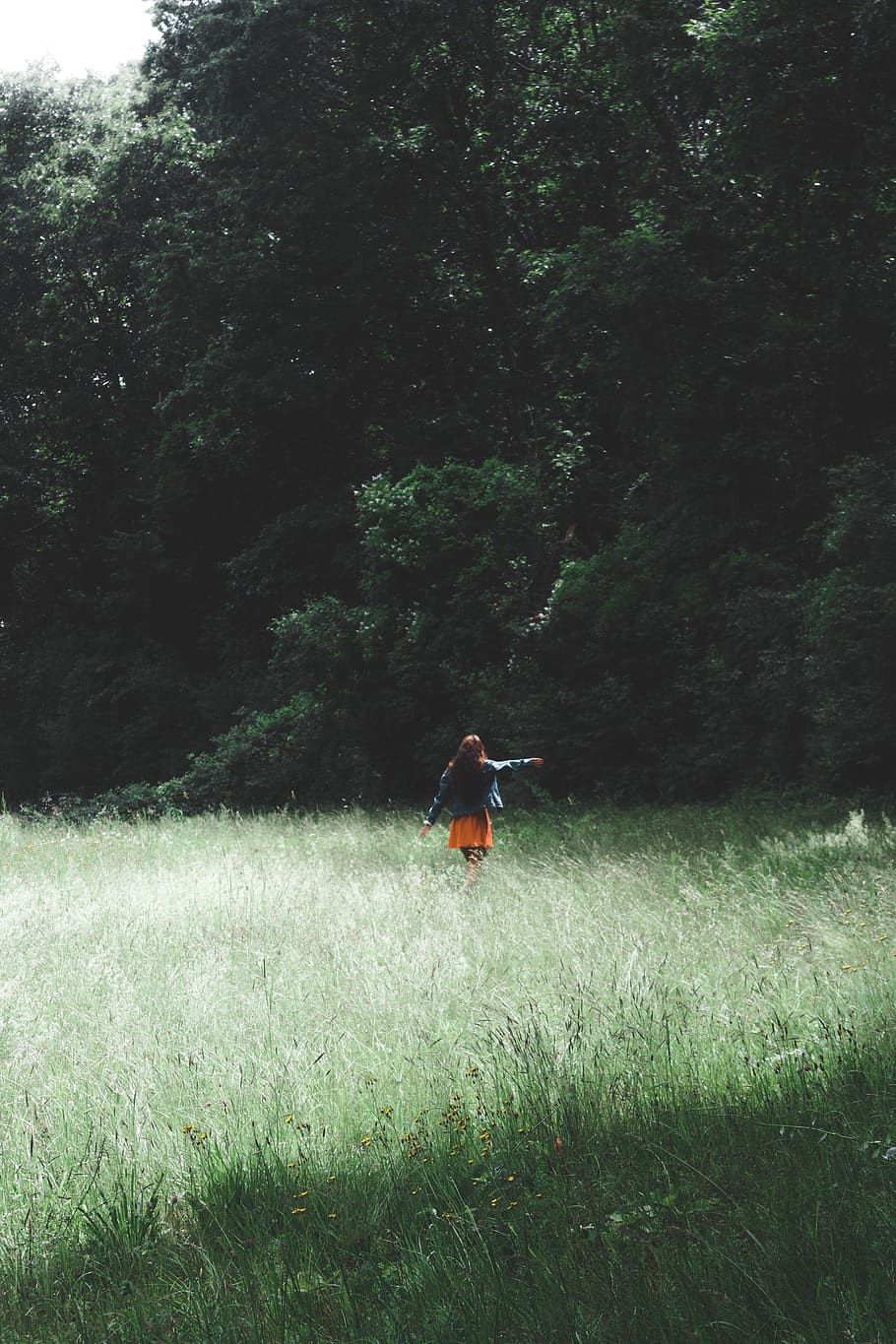 trees, forrest, nature, wallpaper, portrait, mood, vibes, walks HD wallpaper
