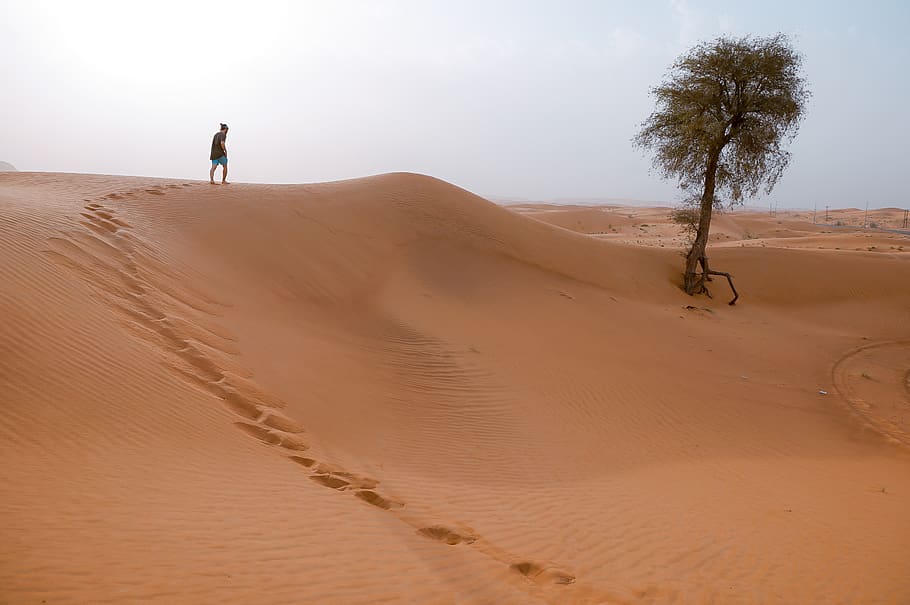 dubai, united arab emirates, sand, wild, nomad, wilderness, HD wallpaper