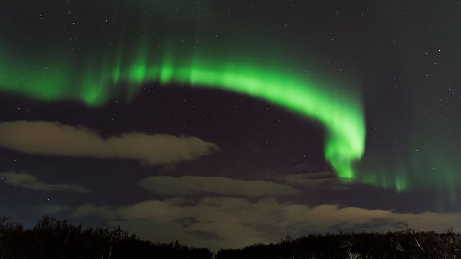aurora lights, night, space, beauty in nature, scenics - nature HD wallpaper