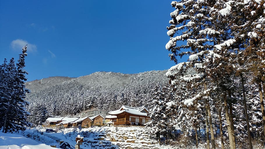 snow, nature, winter, scenery, mountains, landscape, wood, white HD wallpaper