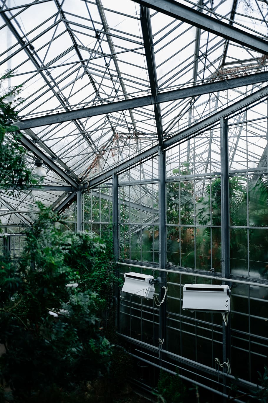greenhouse, plant, growth, indoors, nature, day, architecture HD wallpaper