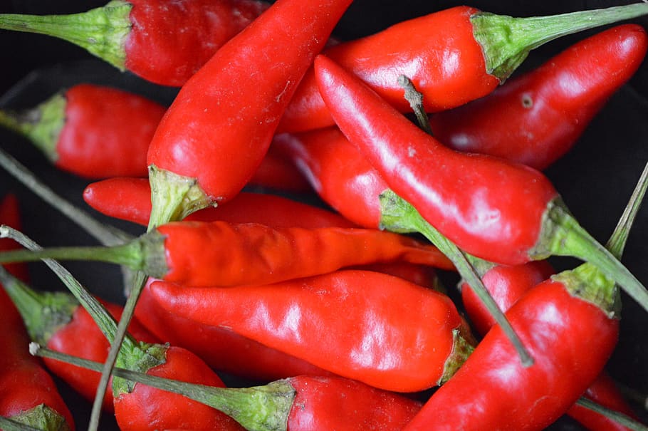 chilli, pepperoni, paprika, spices, food, sharp, piquant, red HD wallpaper