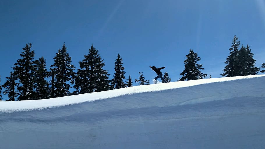 person running on snow, tree, plant, nature, outdoors, snowboarding HD wallpaper