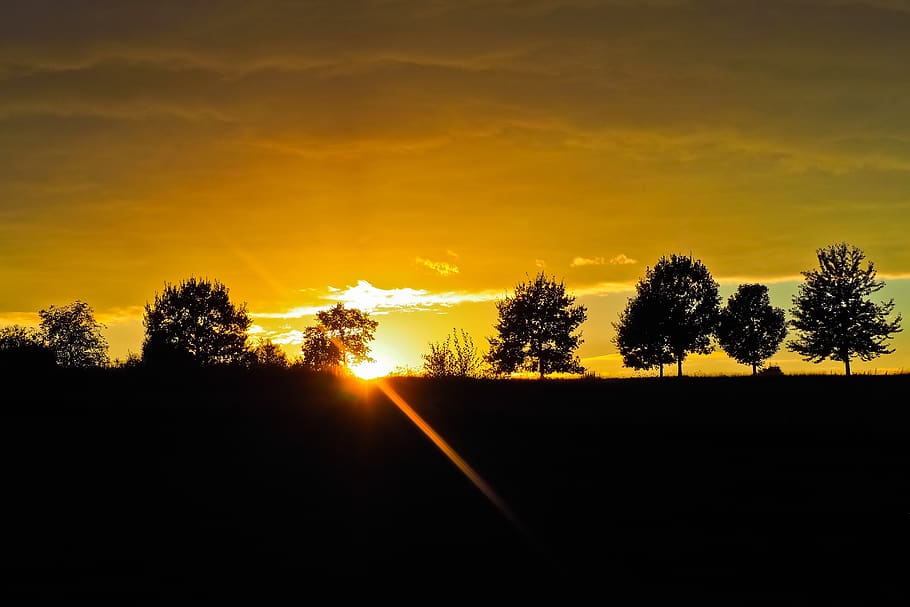 sunset, trees, landscape, nature, sky, clouds, forest, evening HD wallpaper