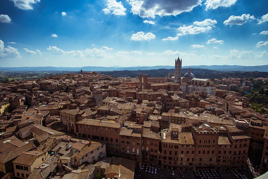 italy, siena, torre del mangia, duomo, view, tuscany, roofs, HD wallpaper