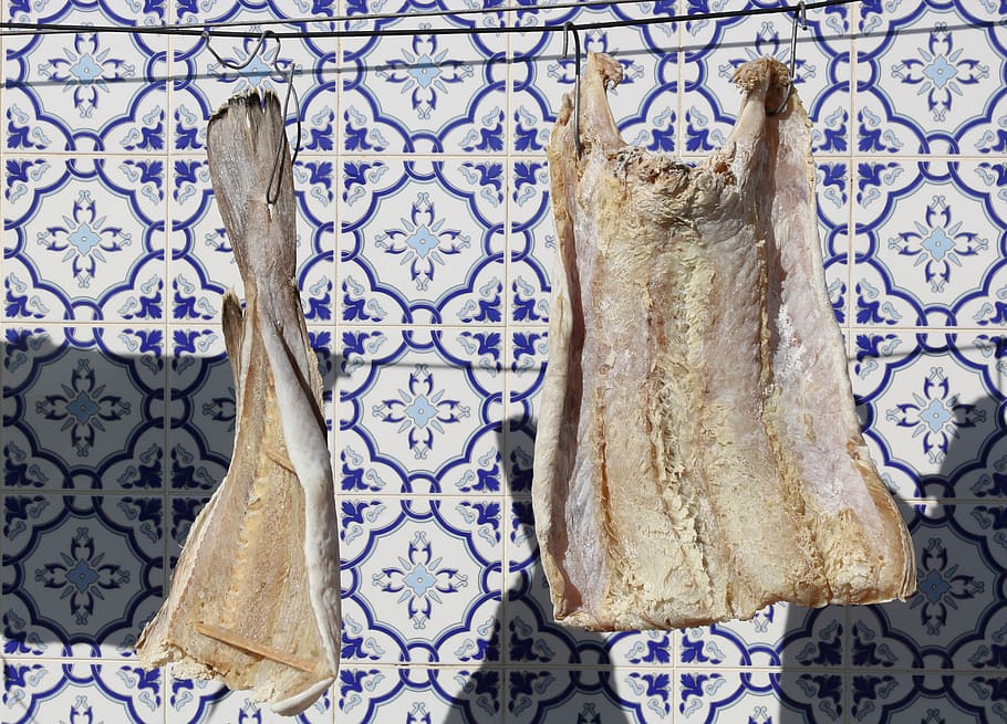 portugal, povoa de varzim, fish, food, drying, washing line, HD wallpaper