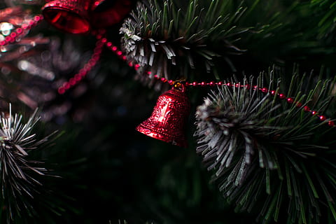 red bell ornament, tree, plant, abies, fir, hungary, budapest HD wallpaper