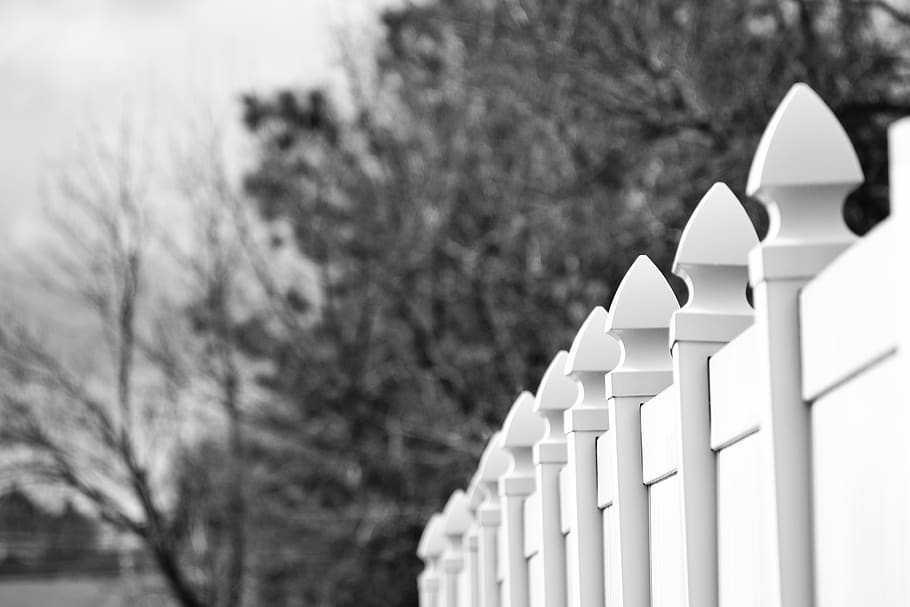 Gray Scale Photo of White Fence, black and white, blur, branches HD wallpaper