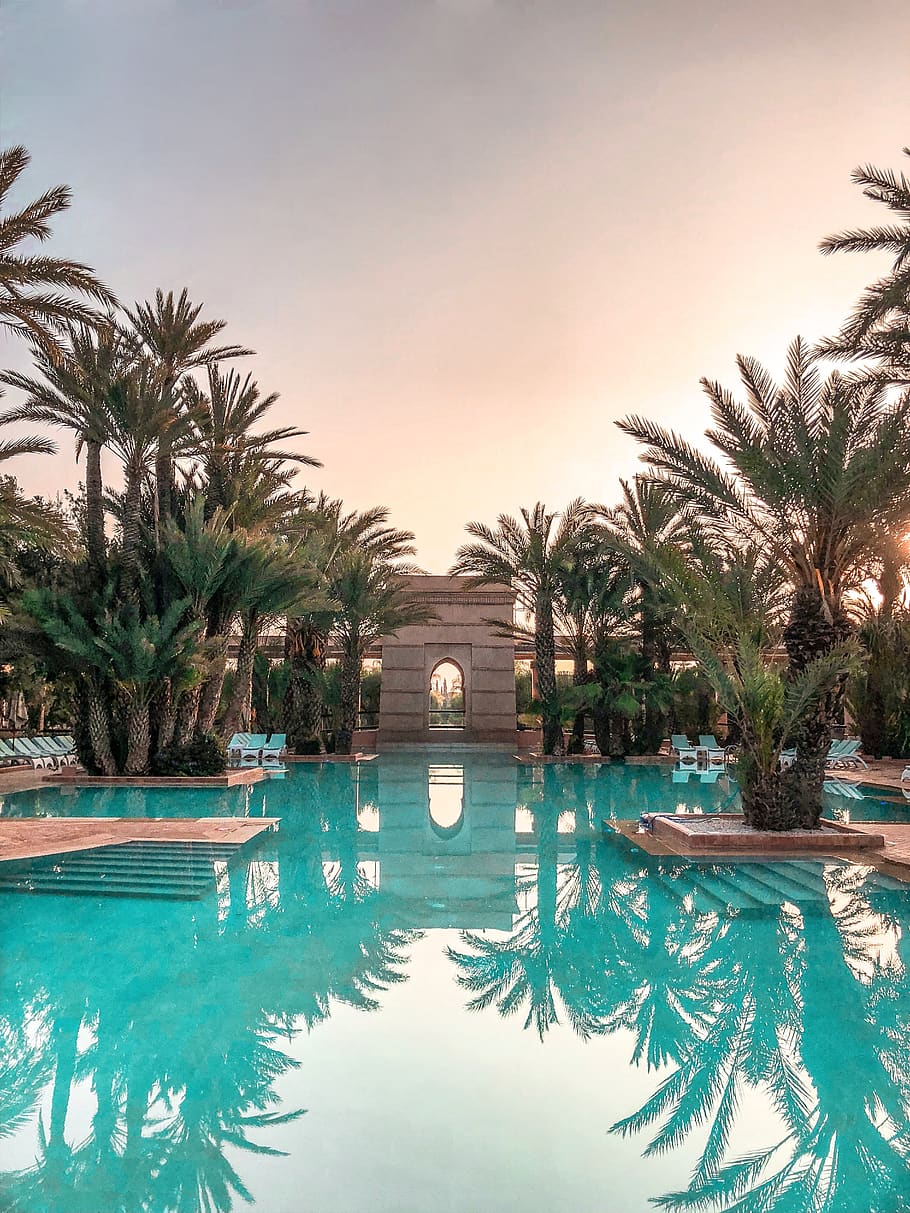 Swimming Pool Surrounded Trees, dug-out pool, exotic, idyllic HD wallpaper