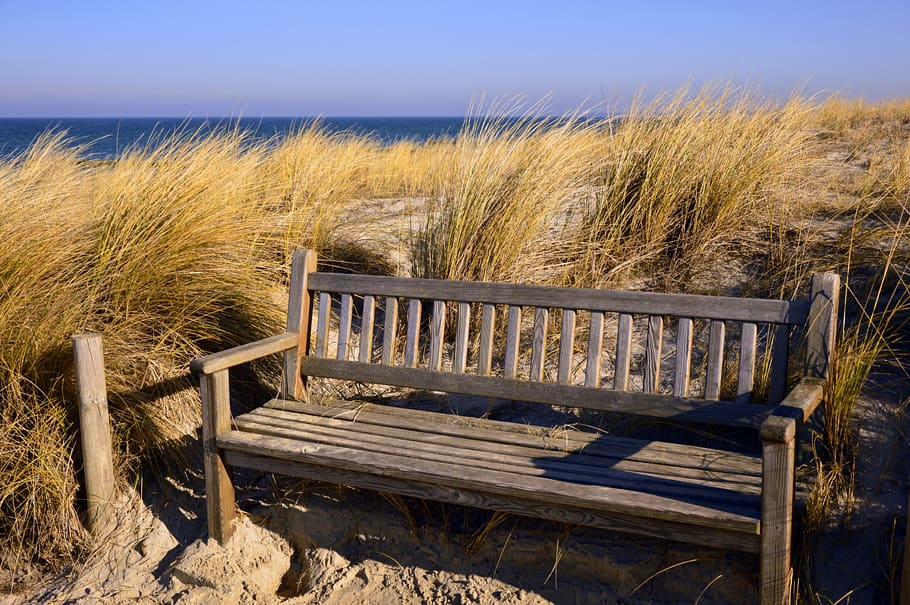 wooden bench, bank, resting place, seat, silent, dunes, beach, HD wallpaper