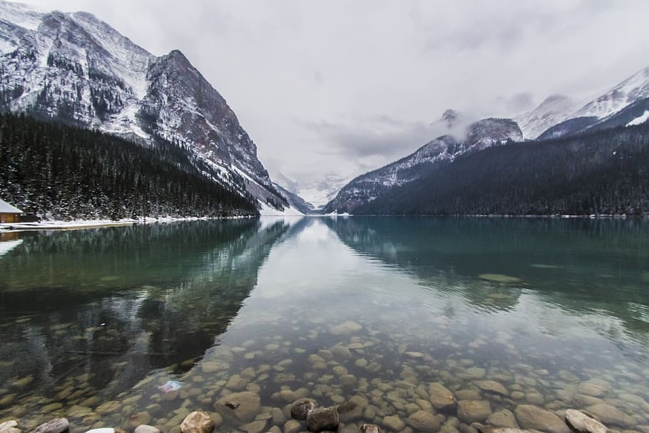canada, lake louise, mountain, banff, forest, trees, water