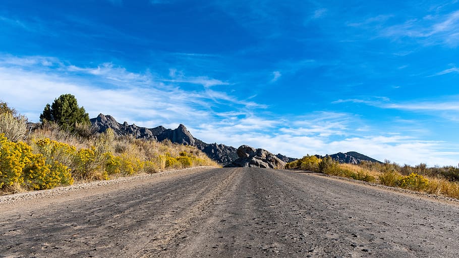 Empty Road Under Cirrus Clouds, daylight, desert, flowers, grass HD wallpaper