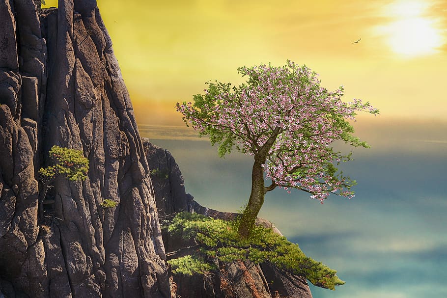 mountain, landscape, nature, sky, sun, alpine, adventure, tree HD wallpaper