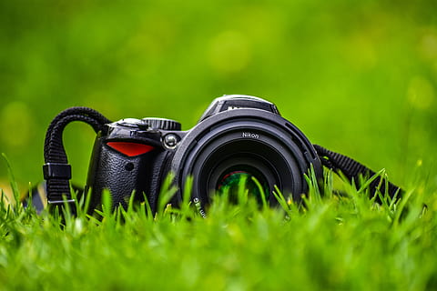 camera in plain, foreground, classic, old, green color, plant HD wallpaper