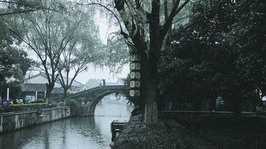water, outdoors, canal, path, plant, tree, person, human, towpath HD wallpaper