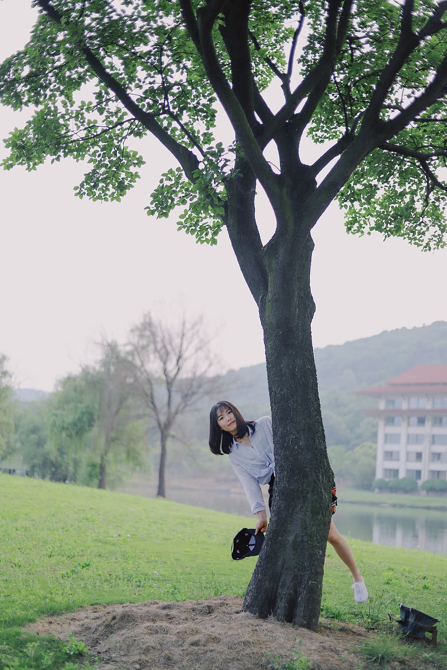 plant, tree, real people, one person, leisure activity, lifestyles HD wallpaper