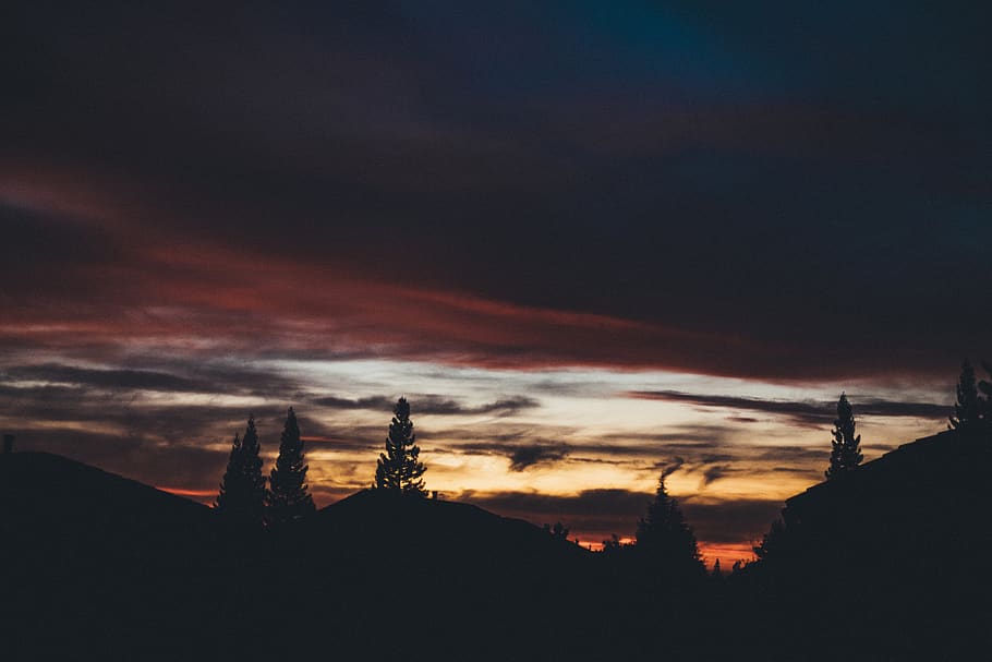 night, dark, evening, sky, clouds, dusk, sunset, trees, silhouette HD wallpaper