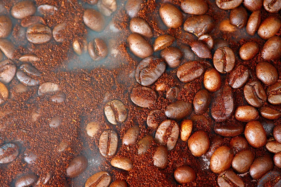bean, background, macro, pattern, food, drink, dark, photography HD wallpaper