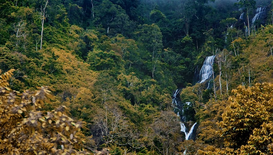 waterfall, nature, forest, green, alam, view, tree, plant, beauty in nature HD wallpaper
