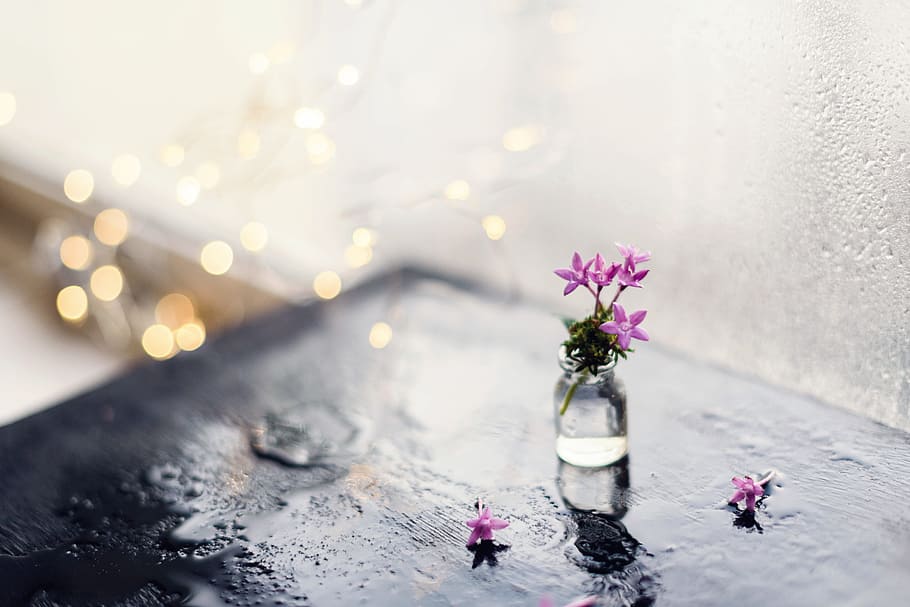 flower, table, late, interior design, bokeh, fairy light, wet HD wallpaper