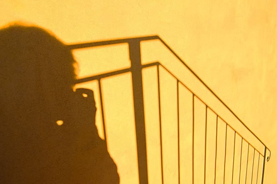 shadow of man near stair, handrail, banister, railing, silhouette, HD wallpaper