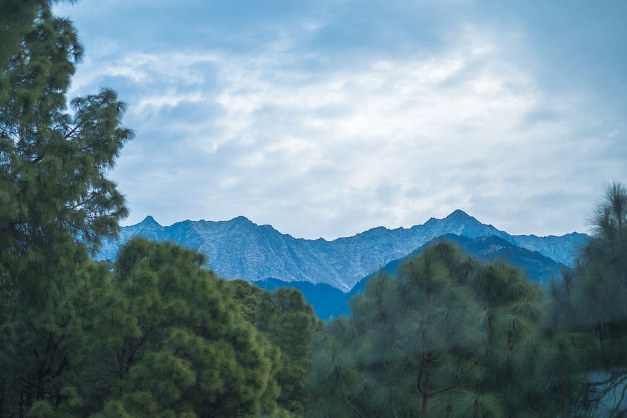 trees, mountains, range, himalayas, dhaulagiri, nature, landscape HD wallpaper