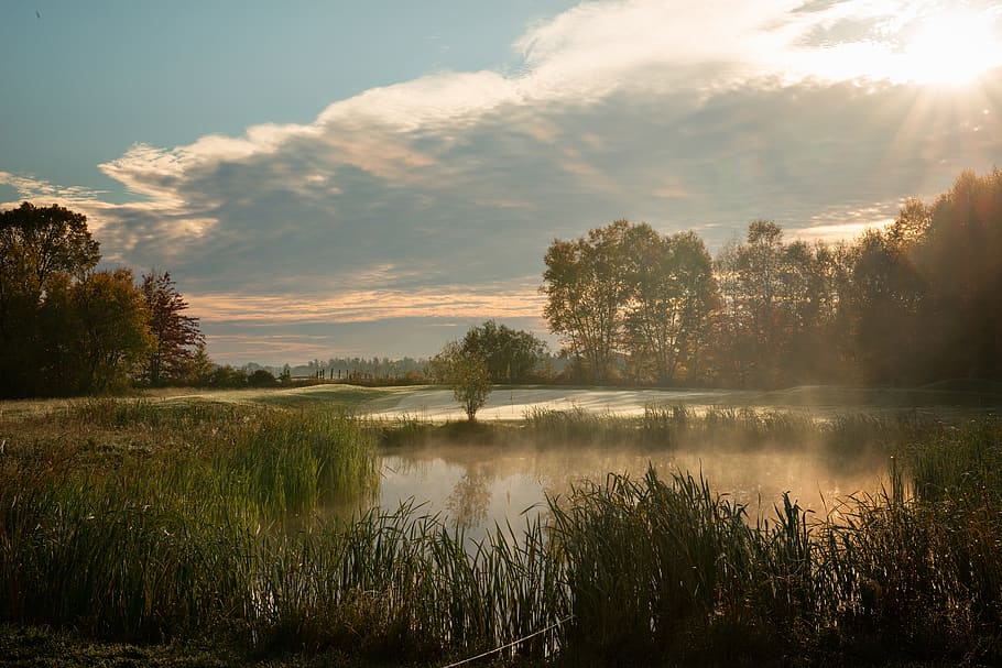 pond, water, trees, golf course, sky, tranquility, tranquil scene HD wallpaper