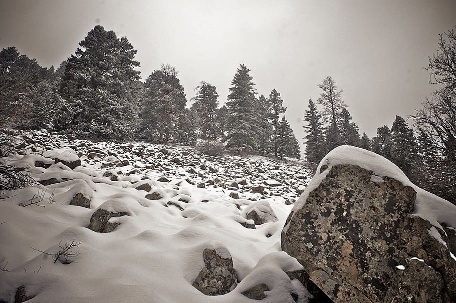 snow, winter, rocks, mountains, climbing, hiking, trees, ice HD wallpaper