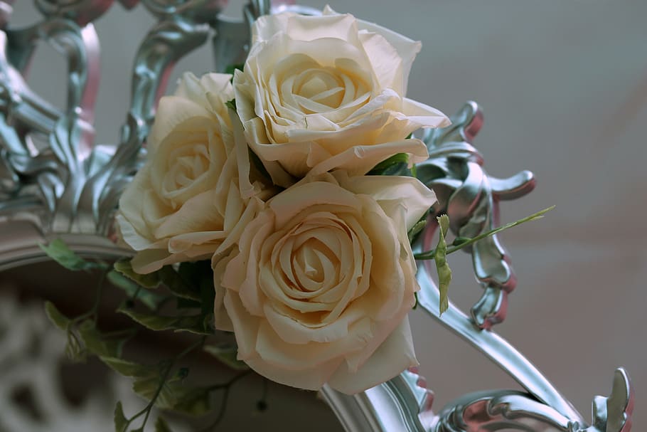 rose, three, white, flower, decoration, bouquet, romantic, flowering plant HD wallpaper