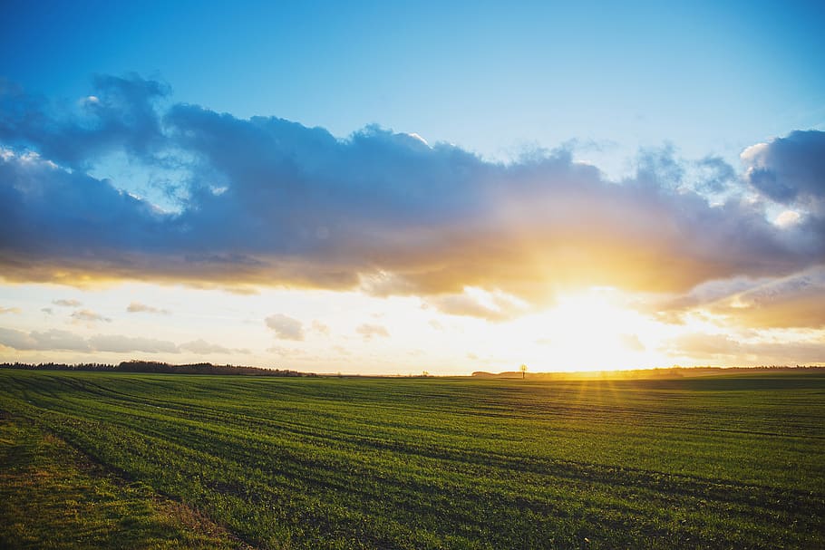 sunset, sky, clouds, field, green, grass, rural, farm, countryside HD wallpaper