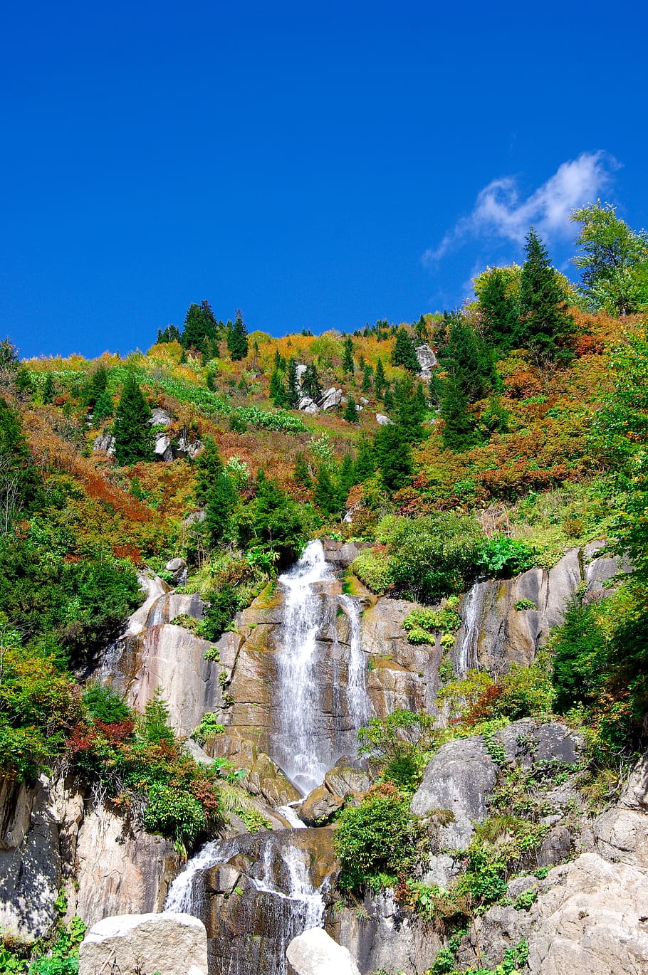 streaming, waterfall, nature, highland, green, forest, landscape, HD wallpaper