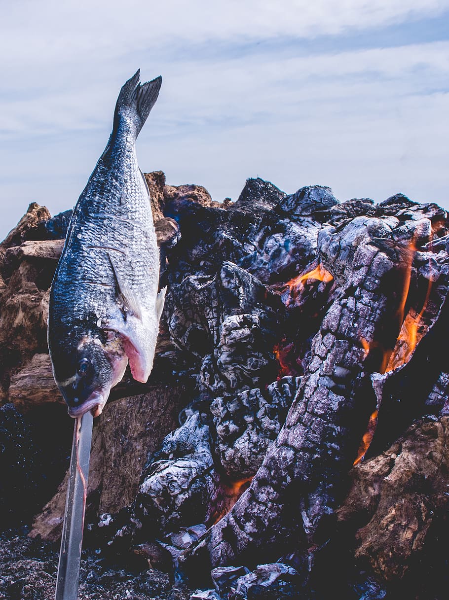 spain, málaga, fire, firewood, sea, food, sea food, fish food HD wallpaper