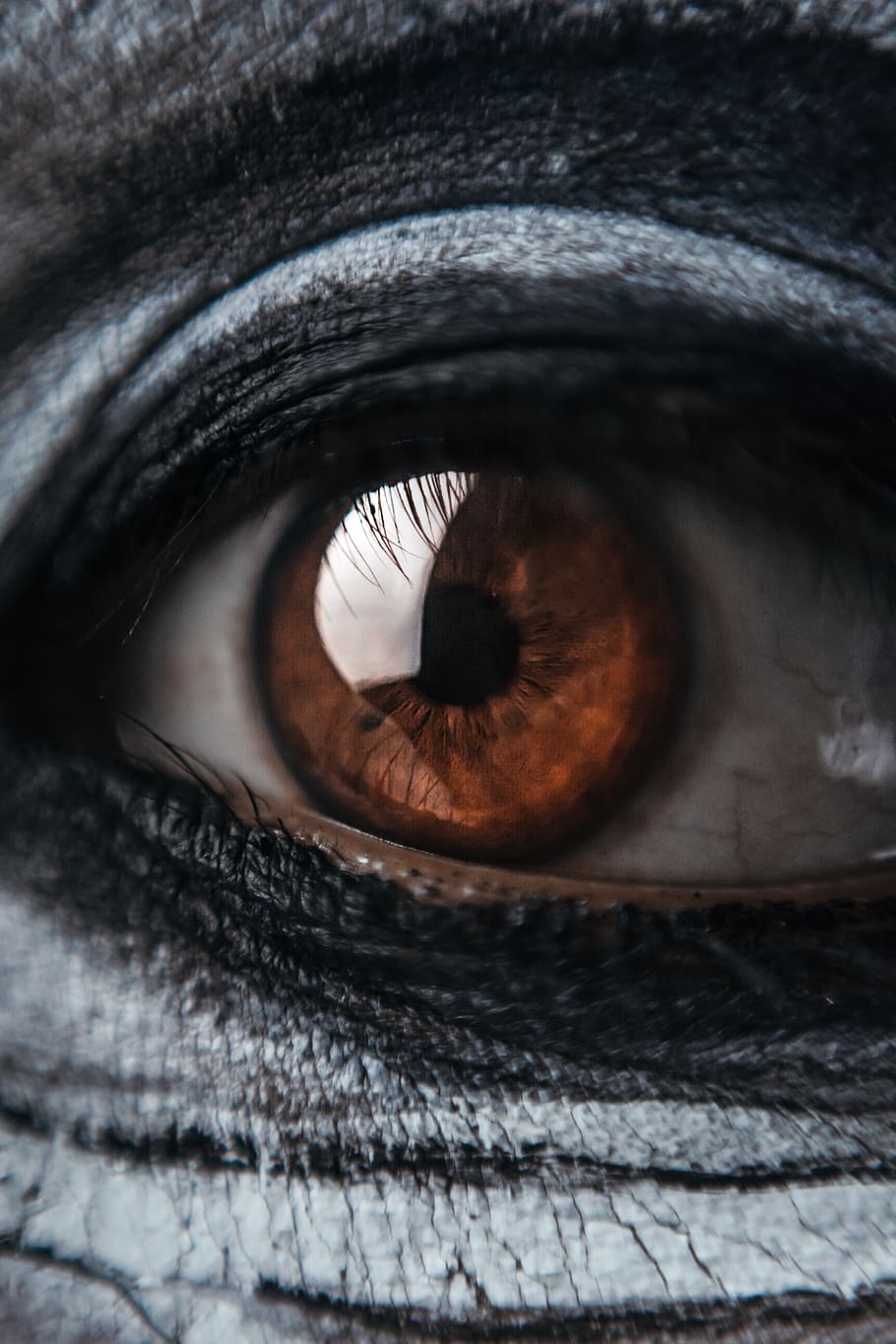 persons brown eye, sensory perception, close-up, eyesight, body part HD wallpaper