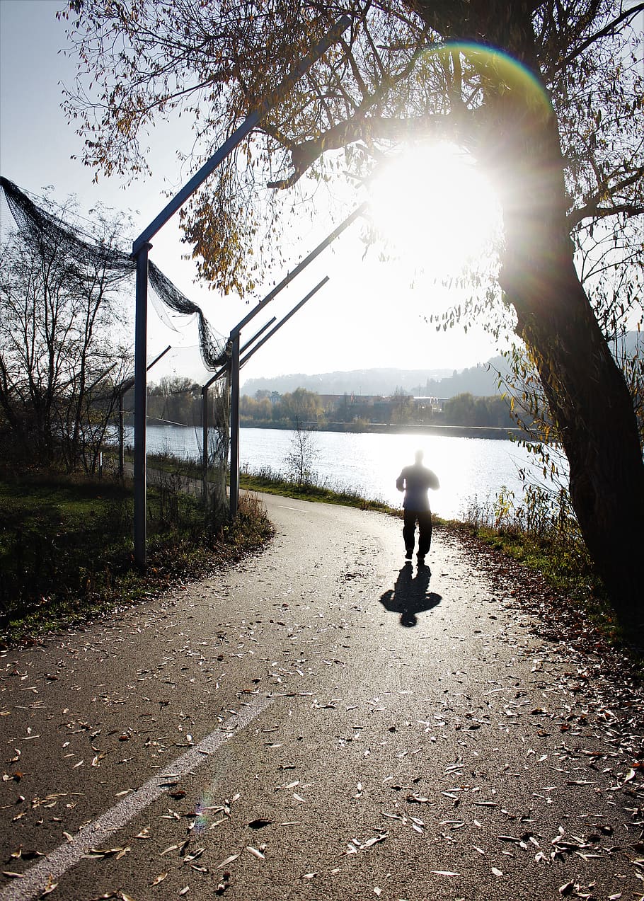 sun, run, river, riverside, tree, full length, real people HD wallpaper