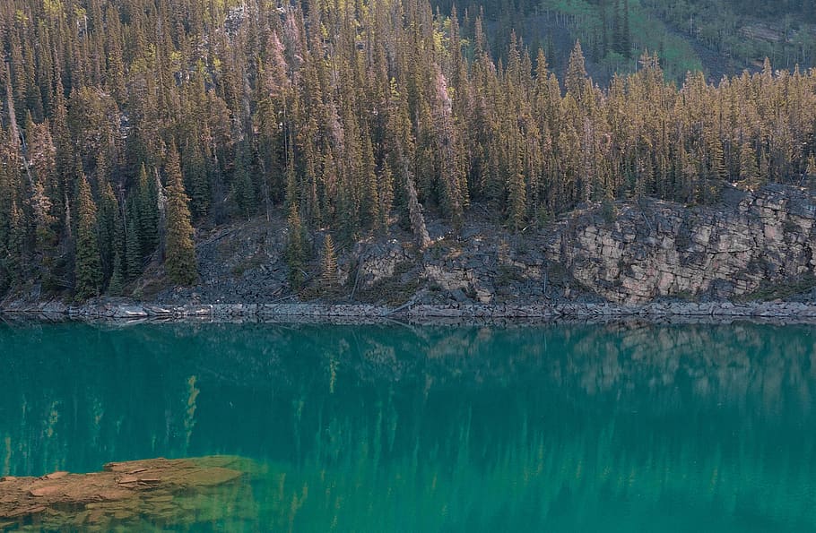 lake, trees, forest, rocks, water, beauty in nature, tranquil scene HD wallpaper