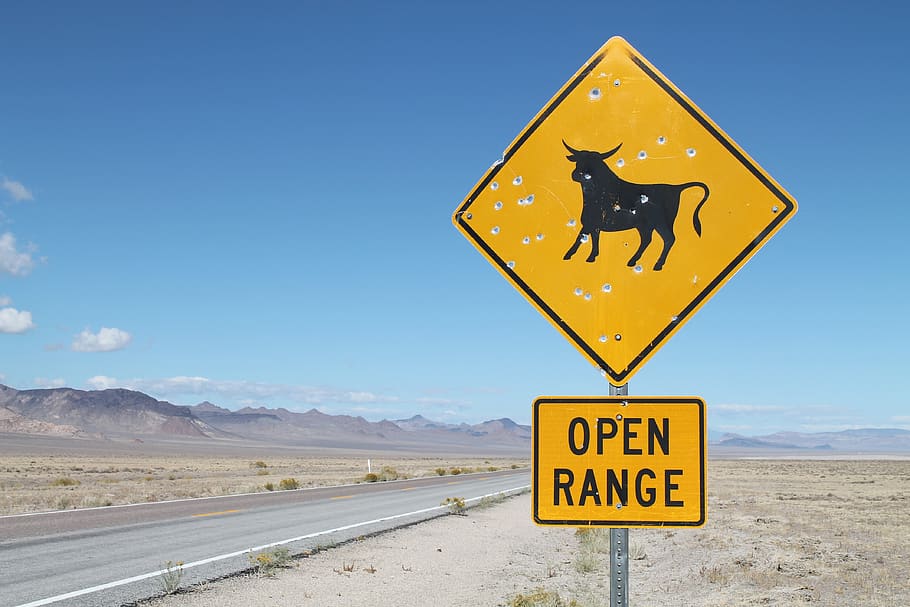 road, sign, cattle, cow, open range, nevada, warning, caution, HD wallpaper