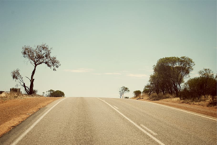 rural, road, sky, tree, plant, direction, the way forward, transportation HD wallpaper